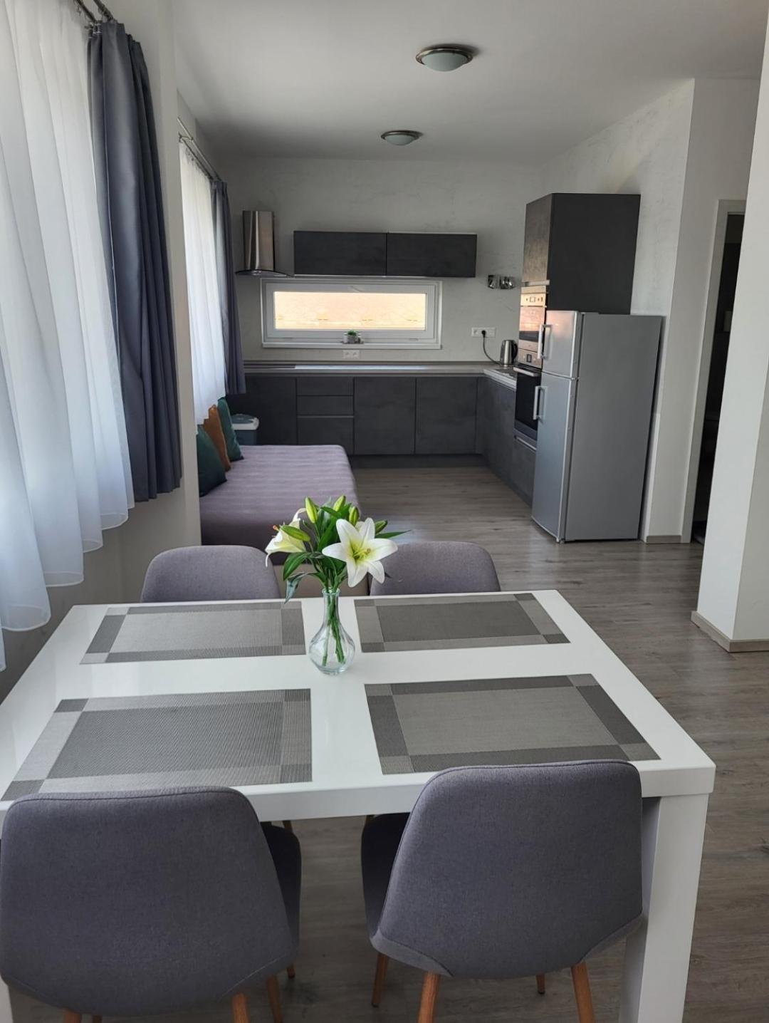 Apartman Gabriela Roudne Exteriör bild